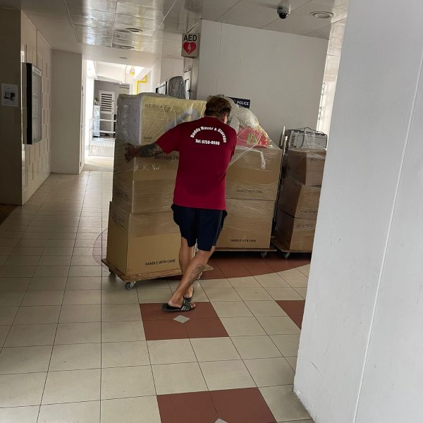 WhatsApp Image 2025-11-25 at 10.08.34 AM (1)