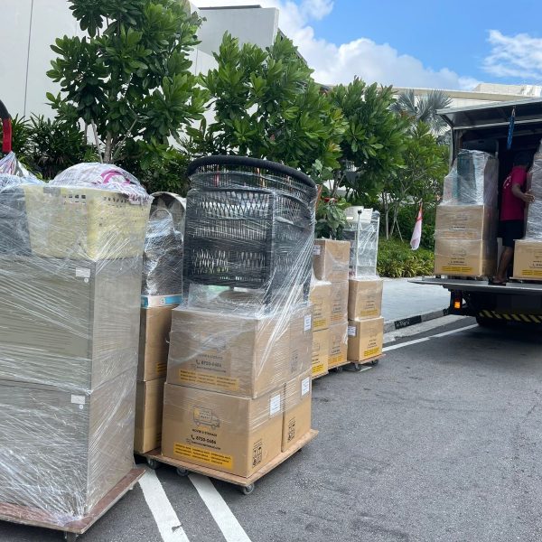 WhatsApp Image 2025-11-25 at 10.08.35 AM (1)