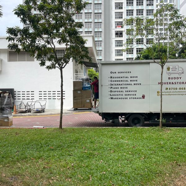 WhatsApp Image 2025-11-25 at 10.08.35 AM