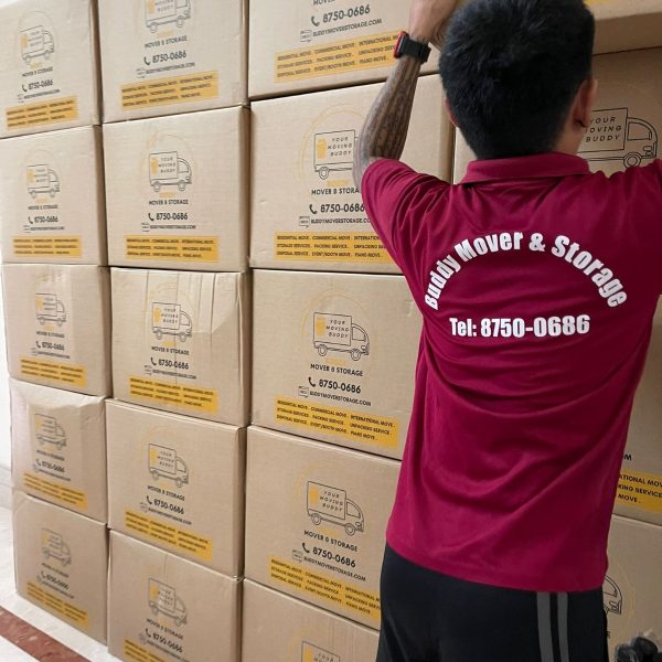 WhatsApp Image 2025-11-25 at 10.48.18 AM (1)