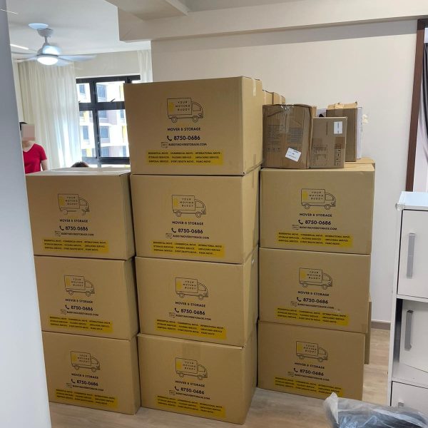 WhatsApp Image 2025-11-25 at 10.48.19 AM